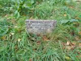 image of grave number 957890